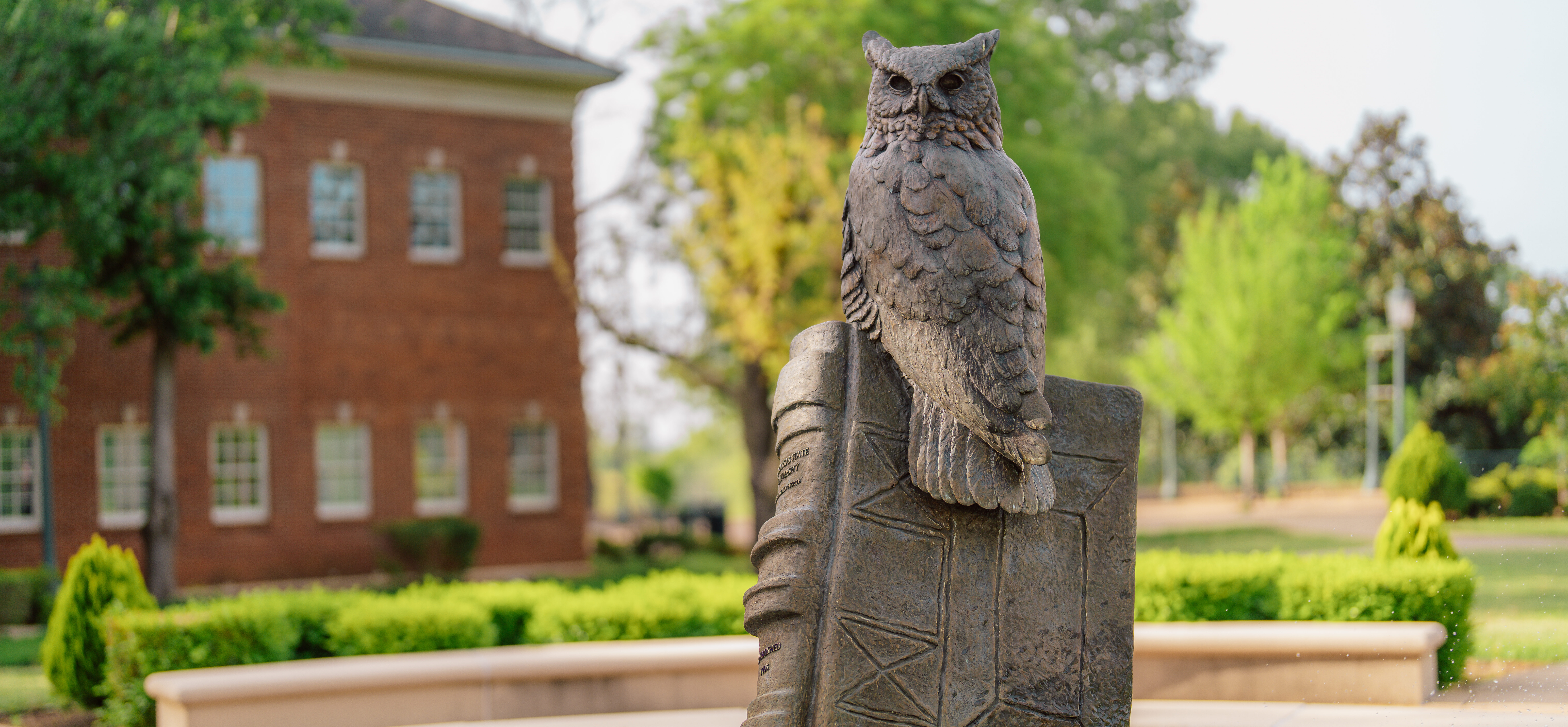 picture of ASU-Mountain Home campus