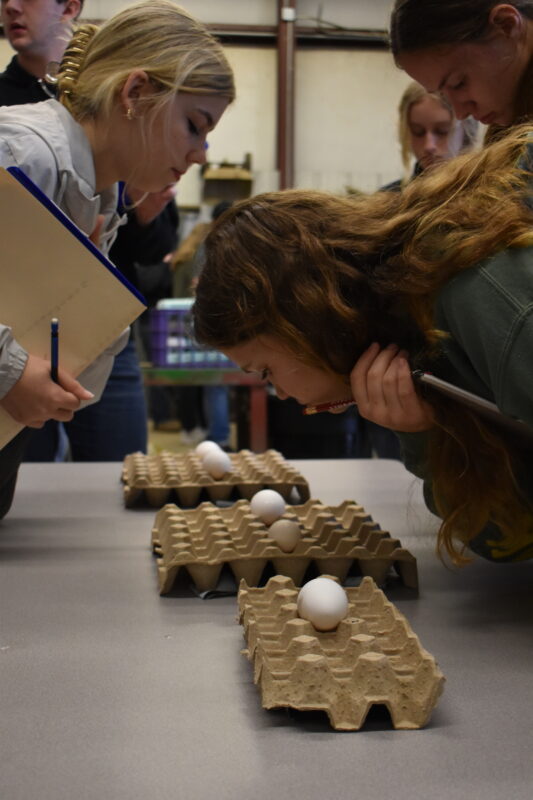 Picture of students at ASU-Beebe Agriculture Day competition