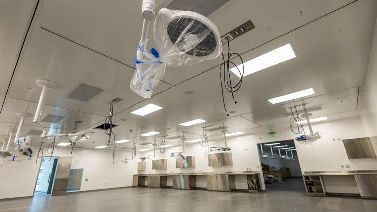 The pre-operative area, which is part of the surgical skills training space, is shown in College of Veterinary Medicine at Arkansas State University.
